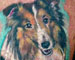 Tattoos - COLLIE FRIEND !! - 21307